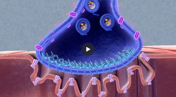 Video - Botulinum Toxin